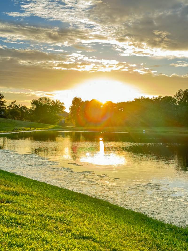 walking near me in Allen Road Park in winter