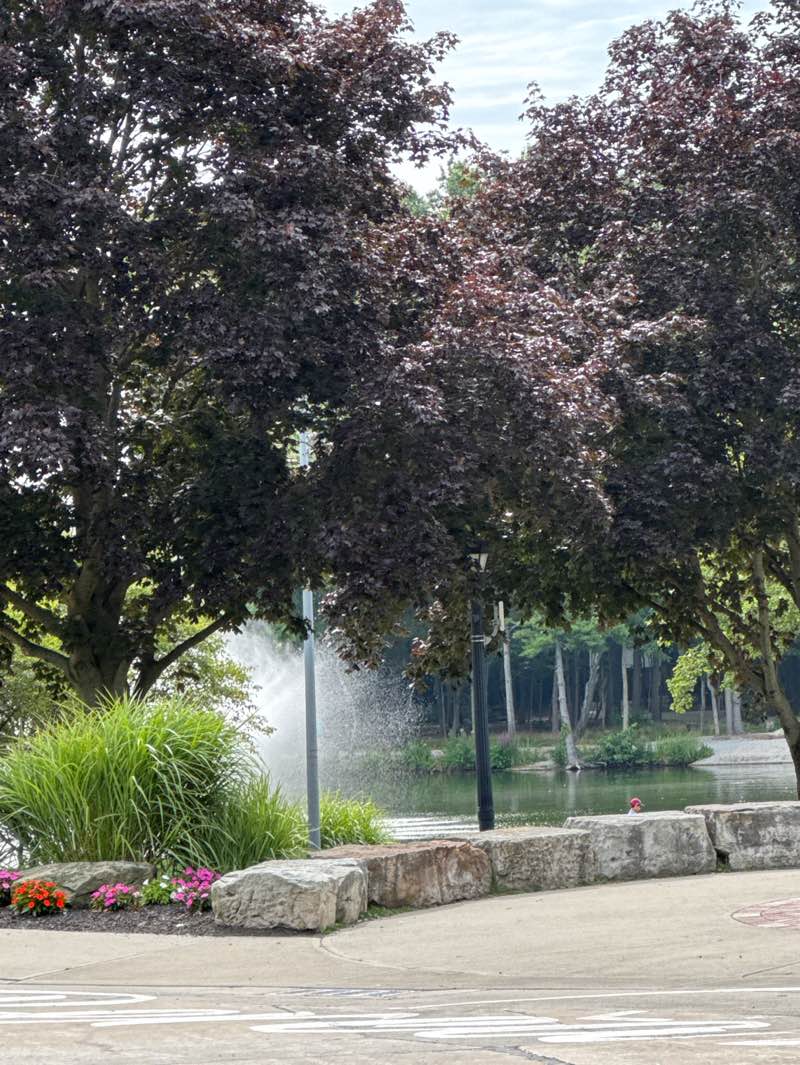 walking near me in Coe Lake Park in summer