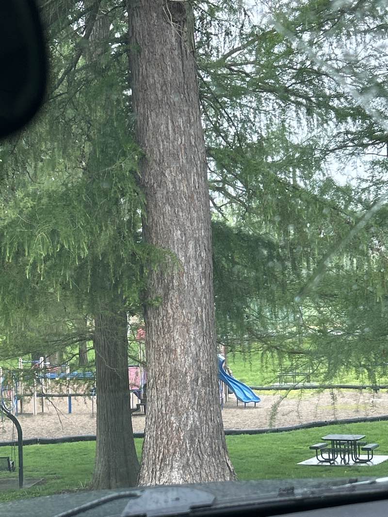 walking near me in Haskins Memorial Park in spring