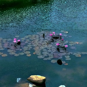 Ramesh Kannan G profile