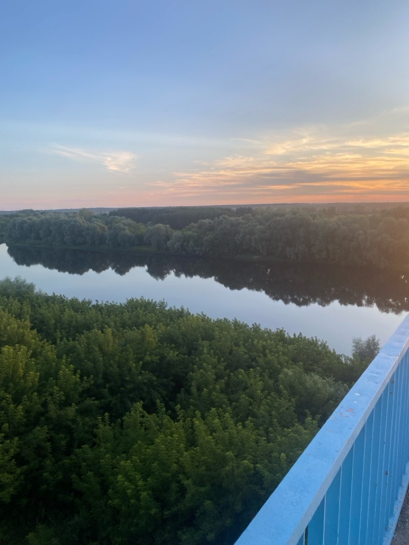 walking near me in Сквер оружейников in winter