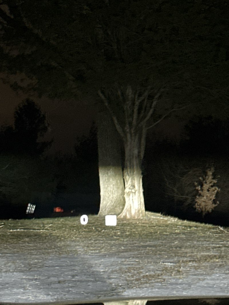 walking near me in Rutgers Heights Park in winter