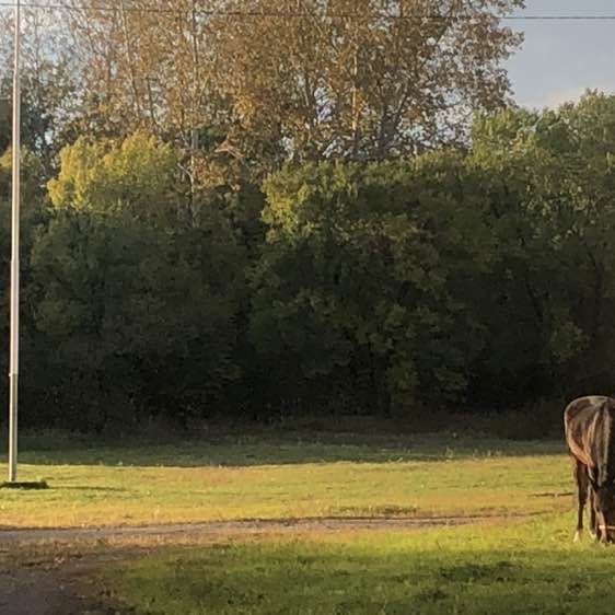 Комсомольск-на-Амуре Alex Aliono post image