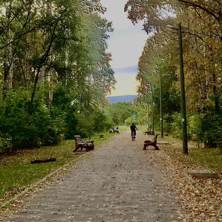 Комсомольск-на-Амуре Alex Aliono post image