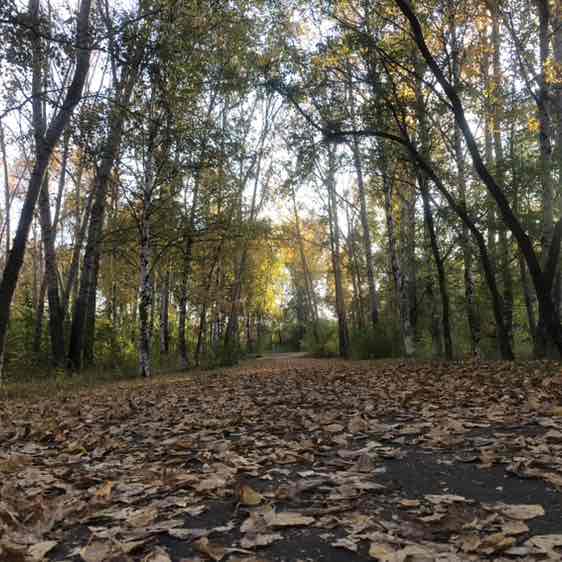 Комсомольск-на-Амуре Alex Aliono post image