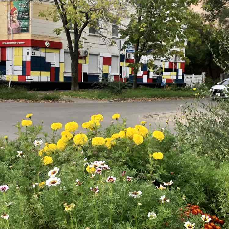 Неслучайные встречи Alex Aliono post image