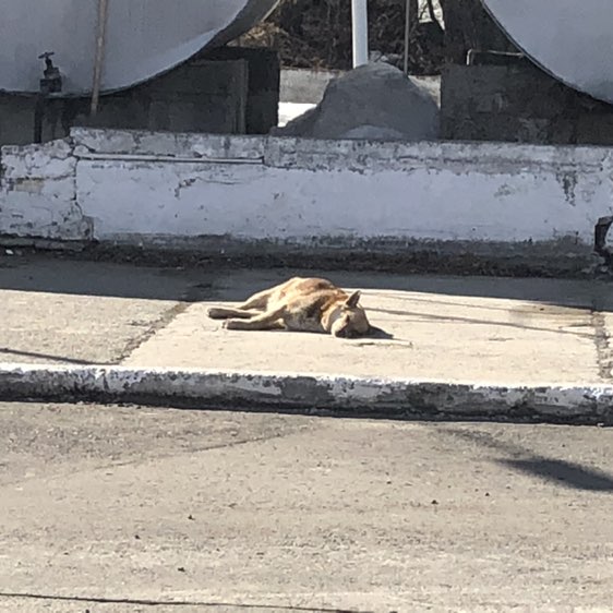 Неслучайные встречи Alex Aliono post image