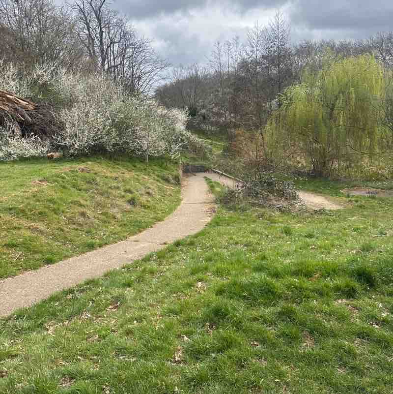 Damian-Chingford post 1