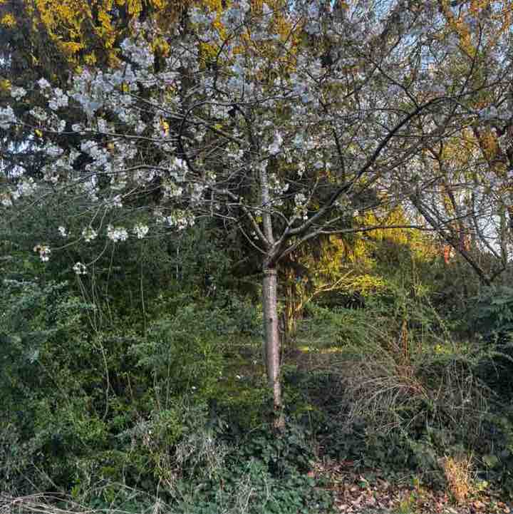 Damian-Chingford post 1