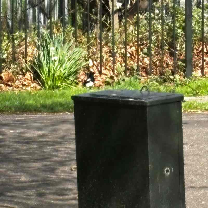 Damian-Chingford post 1