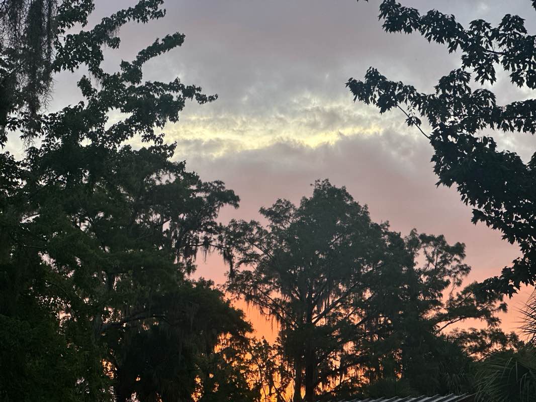 walking near me in Panasoffkee/Outlet Tract in autumn