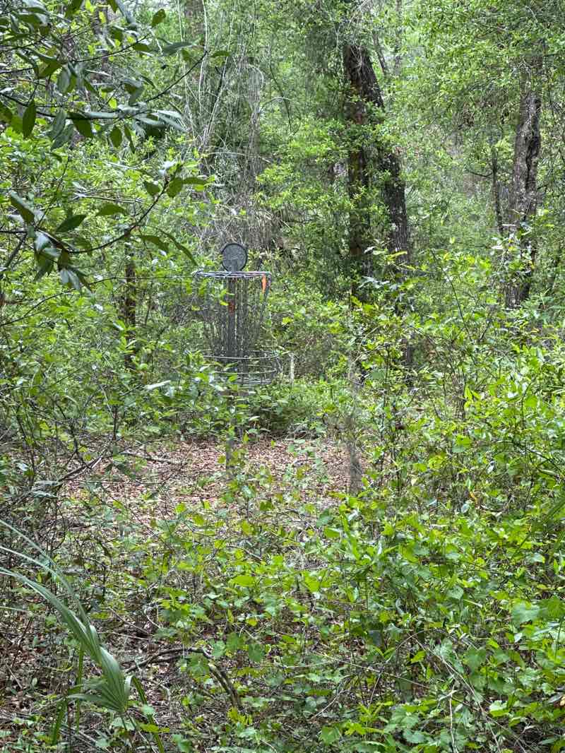 walking near me in Whispering Pines Park in spring