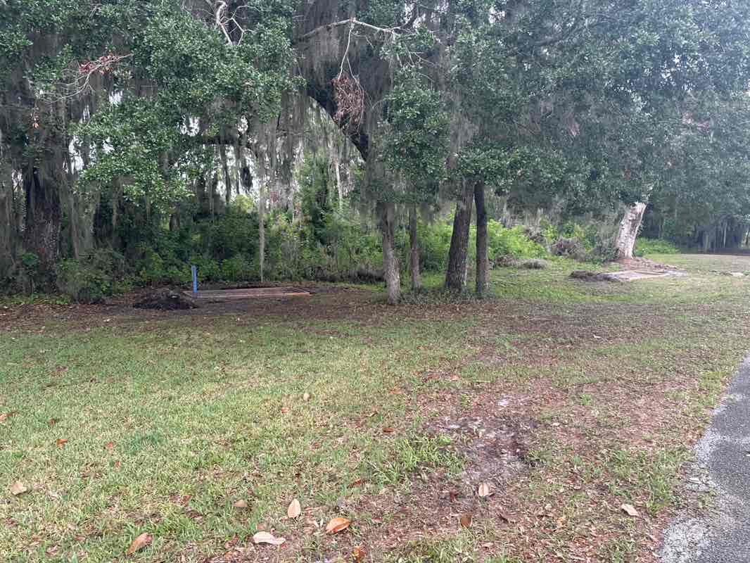 walking near me in Lake Okahumpka Park in spring