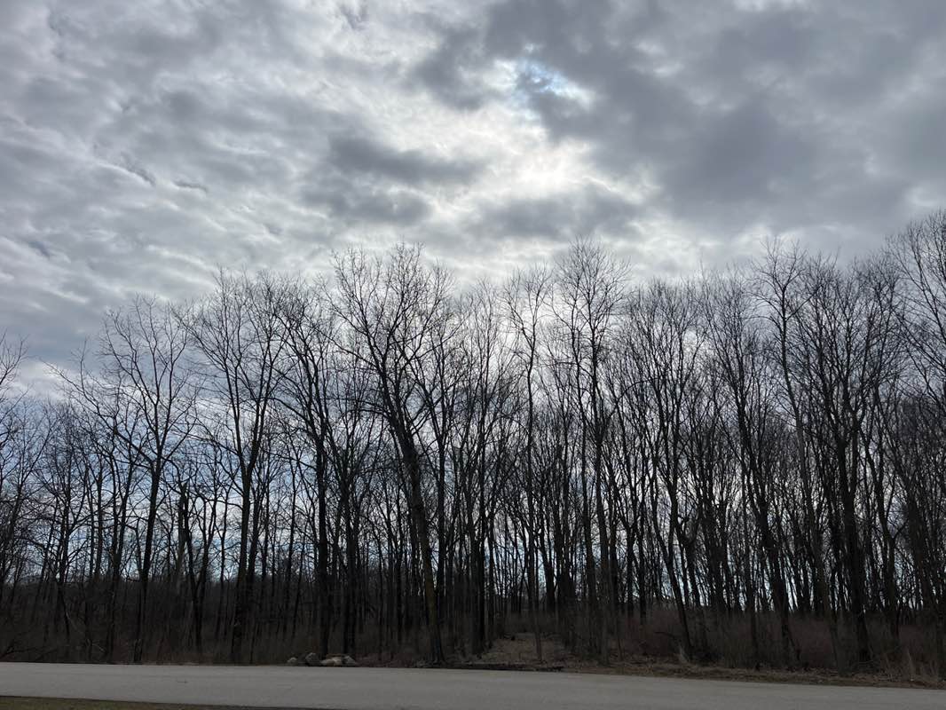 walking near me in Kimmell Park in winter