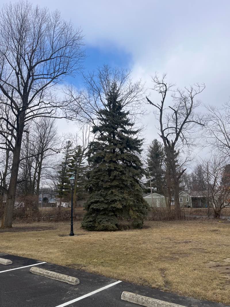 walking near me in Henry Ward Park in winter