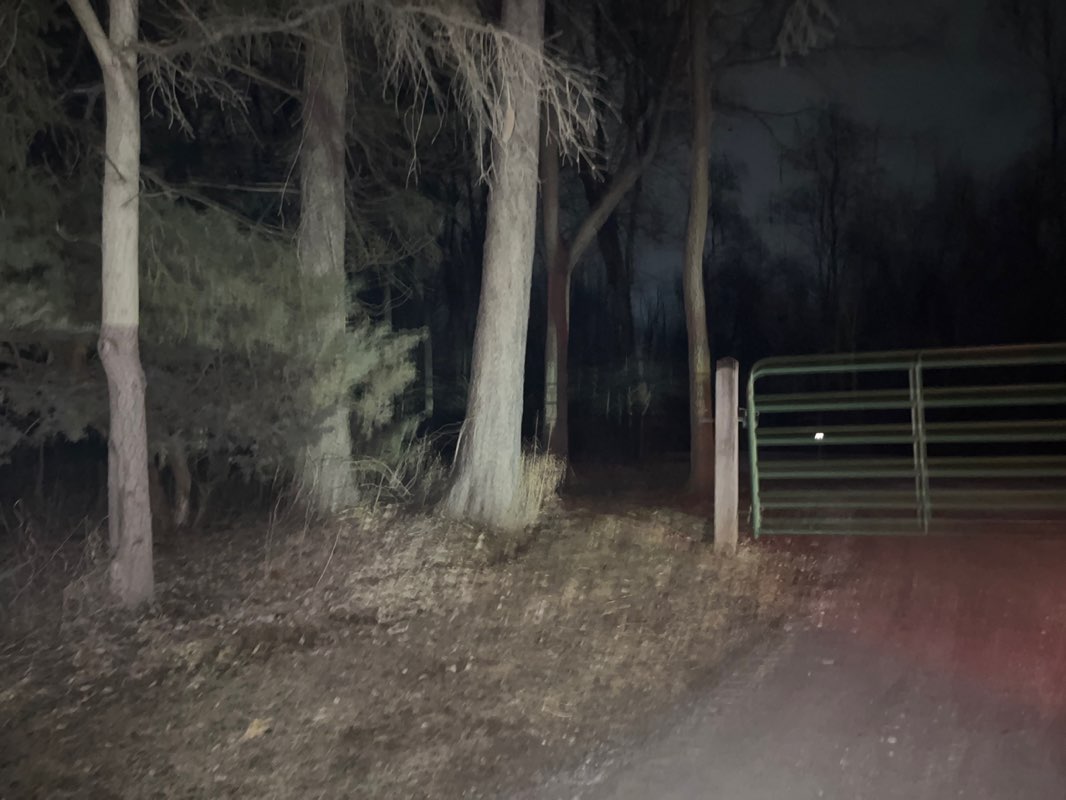 walking near me in DeFries Gardens in winter