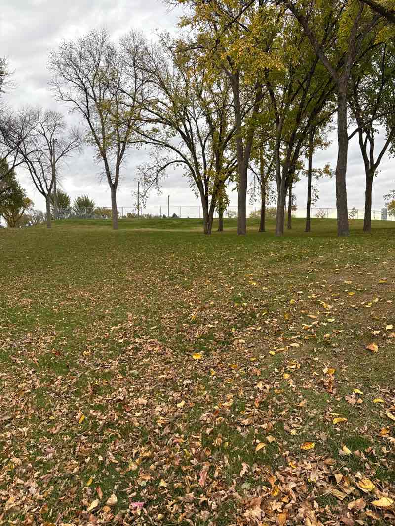 walking near me in Adams Park in autumn