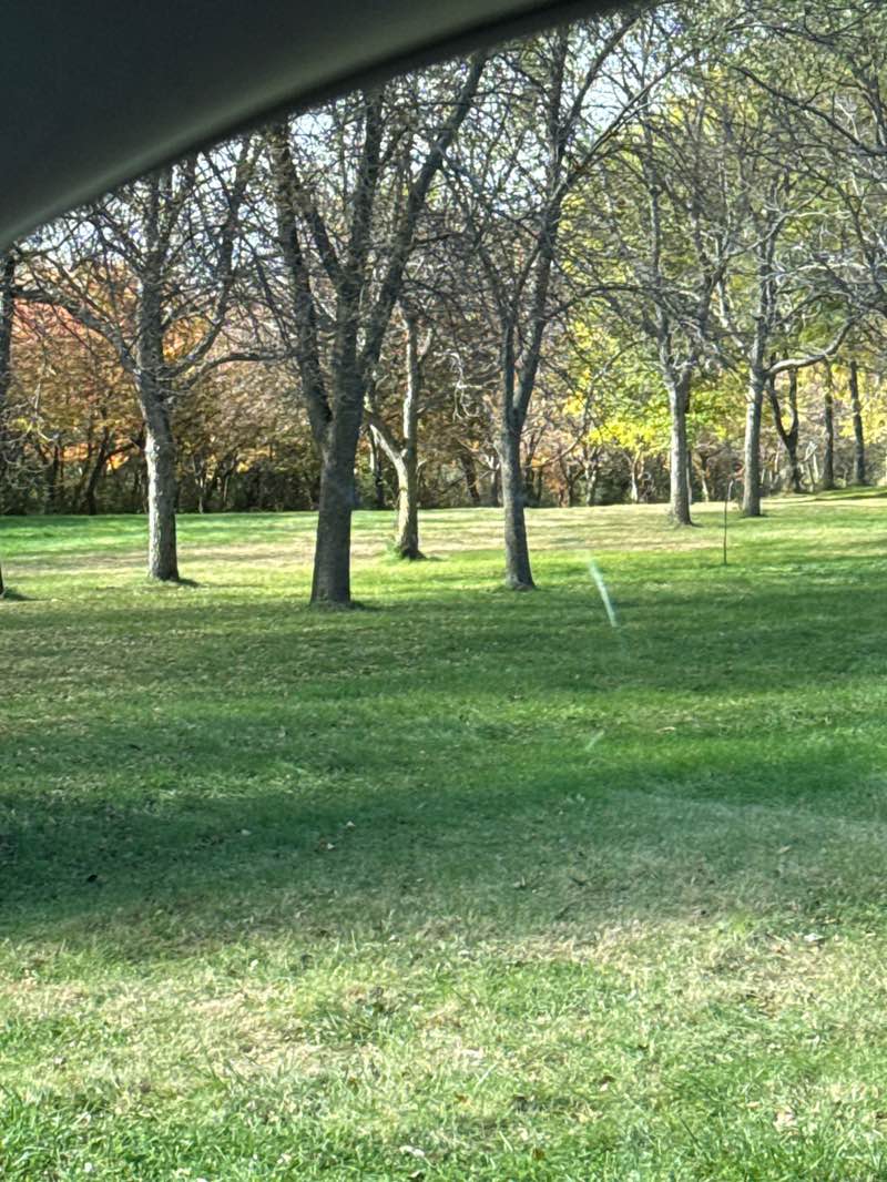 walking near me in Kennedy Park Nature Area in autumn