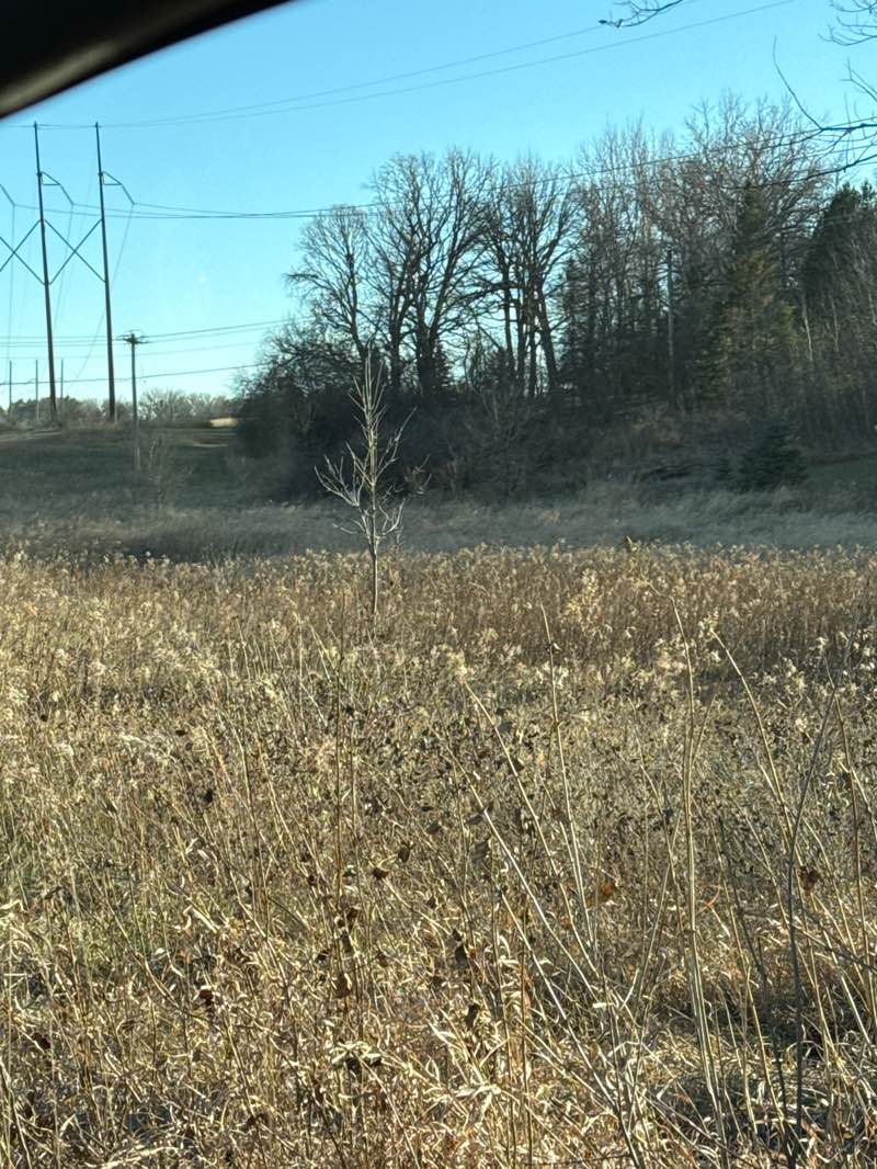walking near me in Red Socks Park in autumn