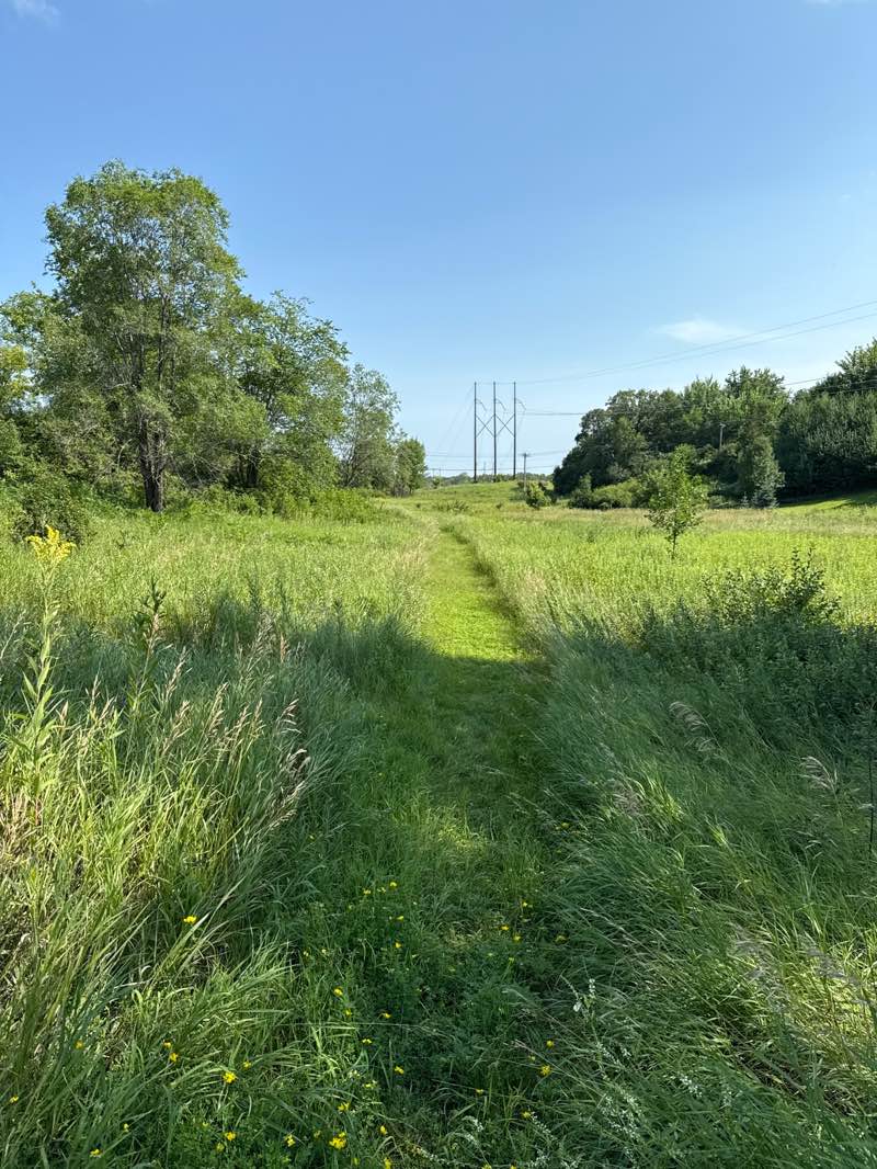 walking near me in Notheast Park in autumn