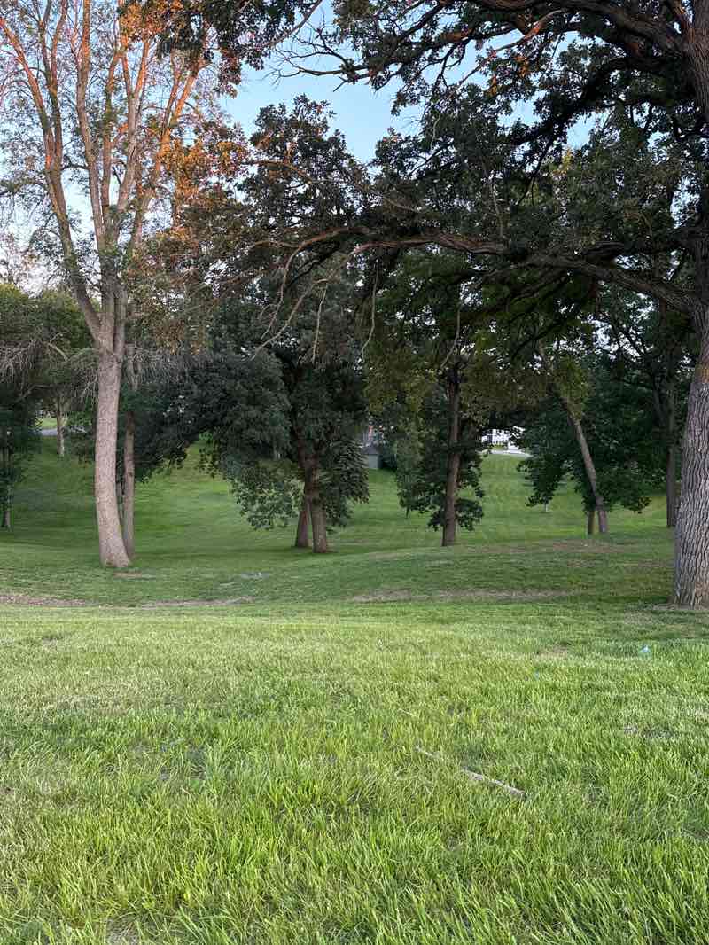 walking near me in Roosevelt Park in summer