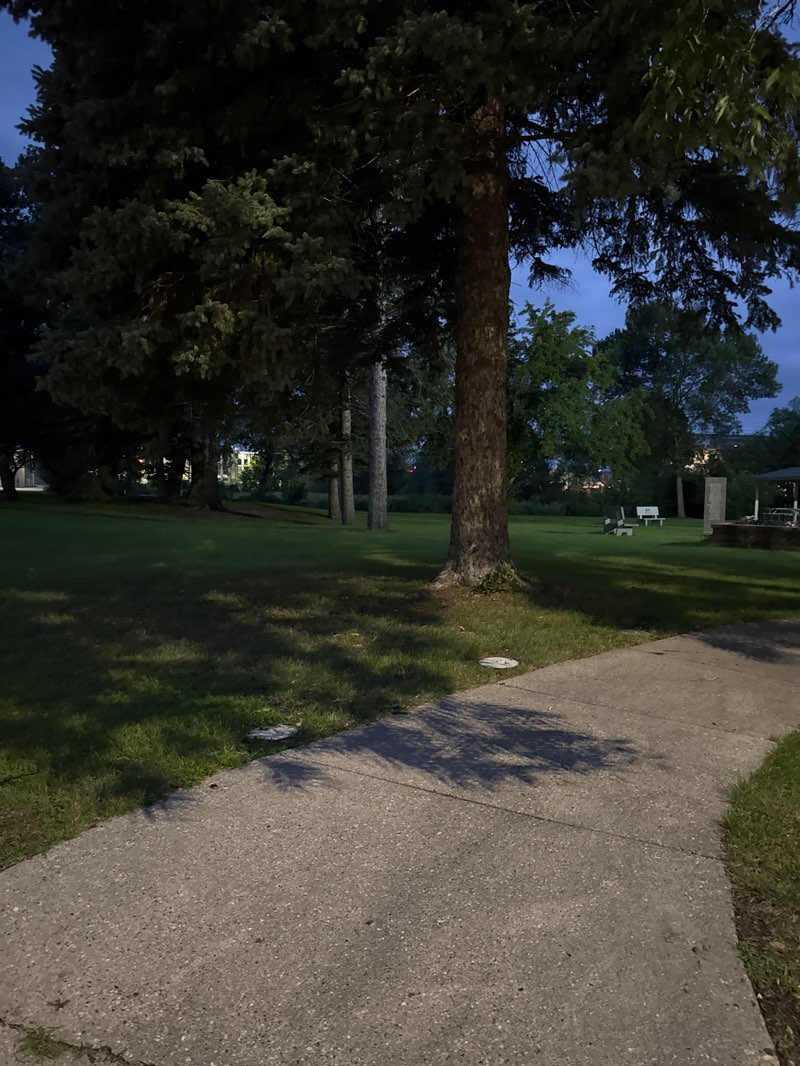 walking near me in Veterans Memorial Park in autumn