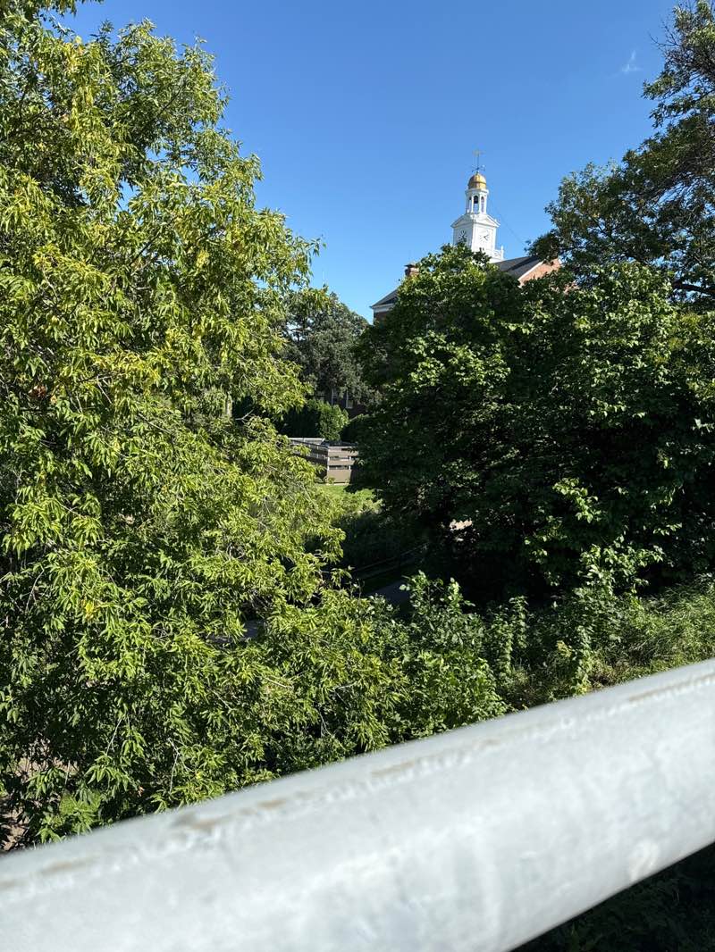walking near me in City Hall Park in autumn