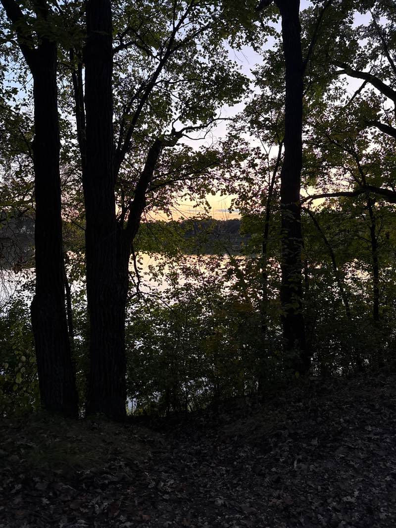 walking near me in Lake Alice Park in autumn