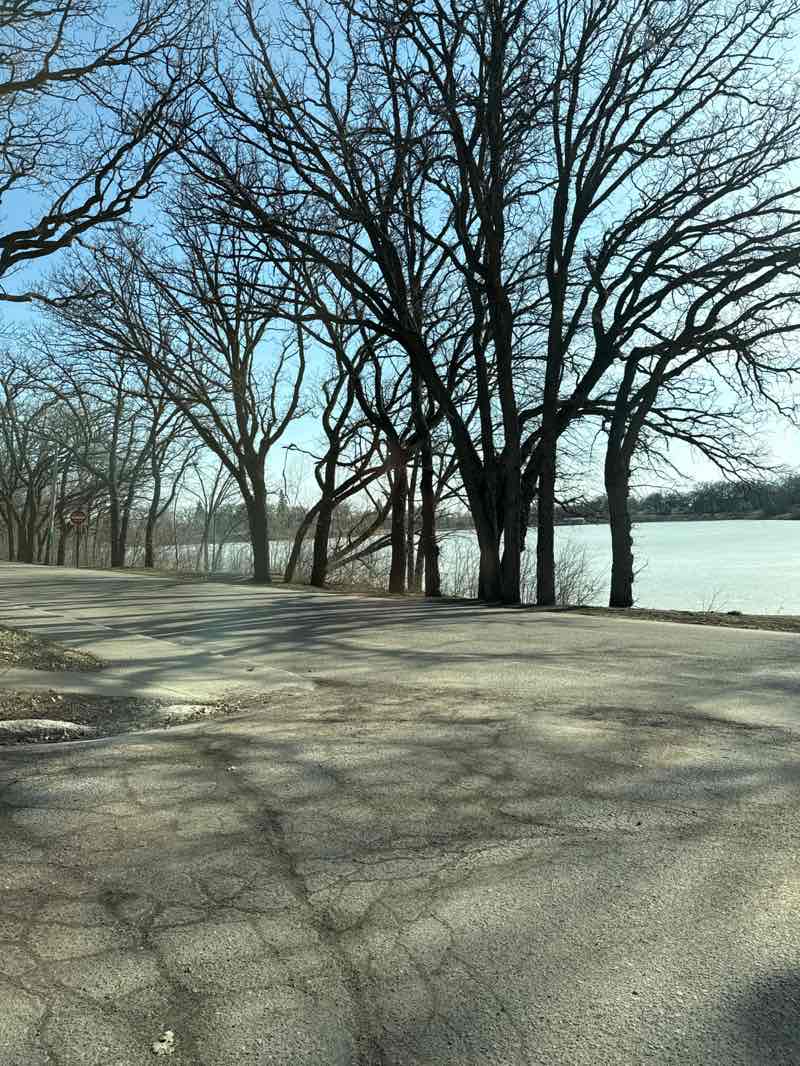 walking near me in Lake Alice Park in spring
