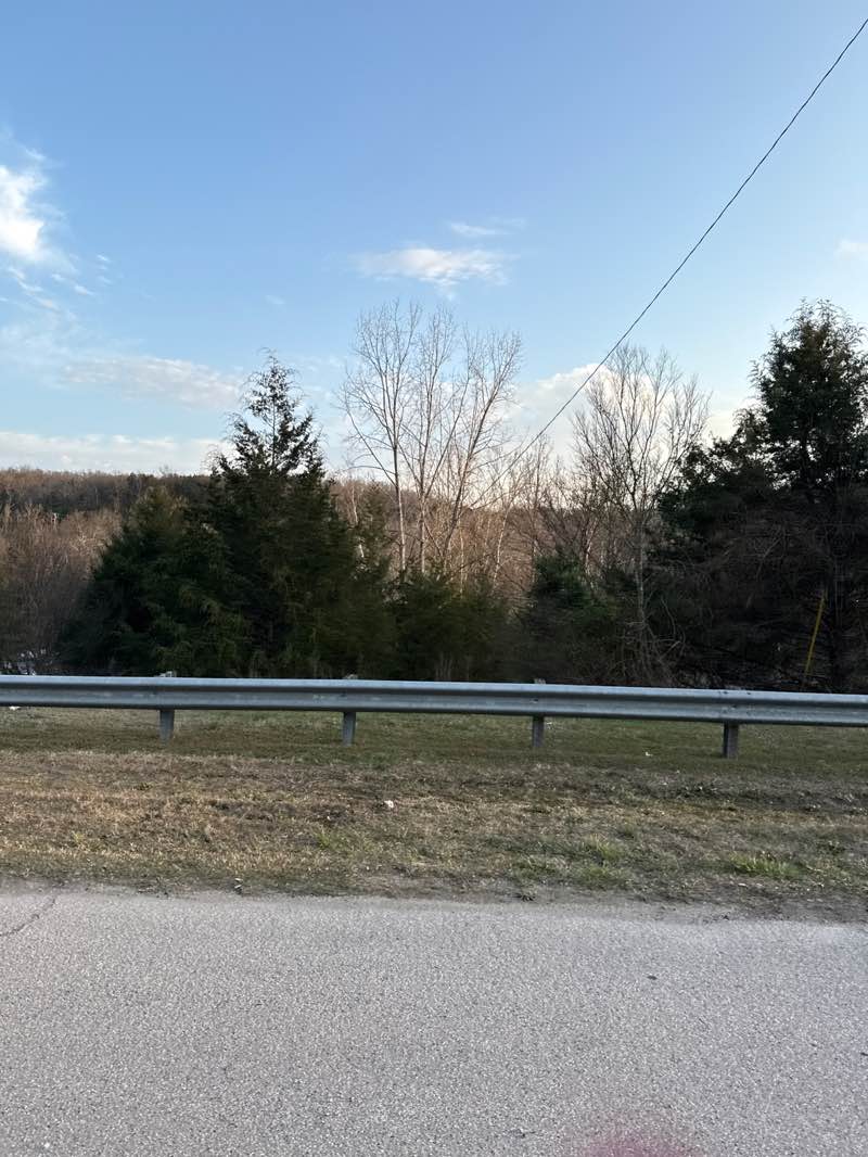 walking near me in Stockstill Park in spring