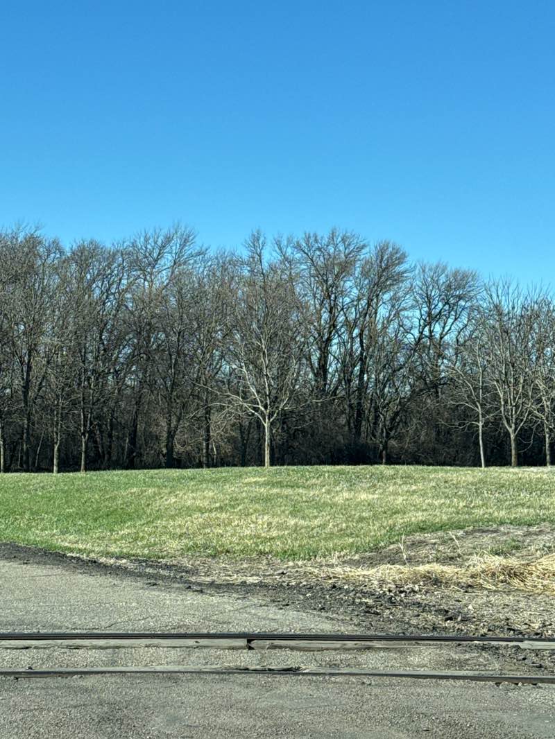 walking near me in Kennedy Park Nature Area in spring