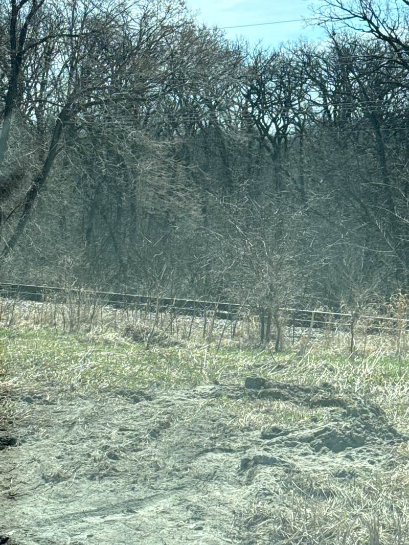 walking near me in Barefoot Park in spring