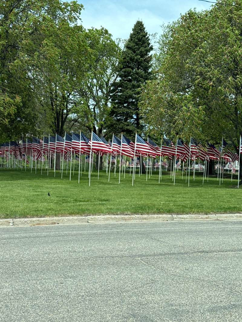 walking near me in Veterans Memorial Park in summer