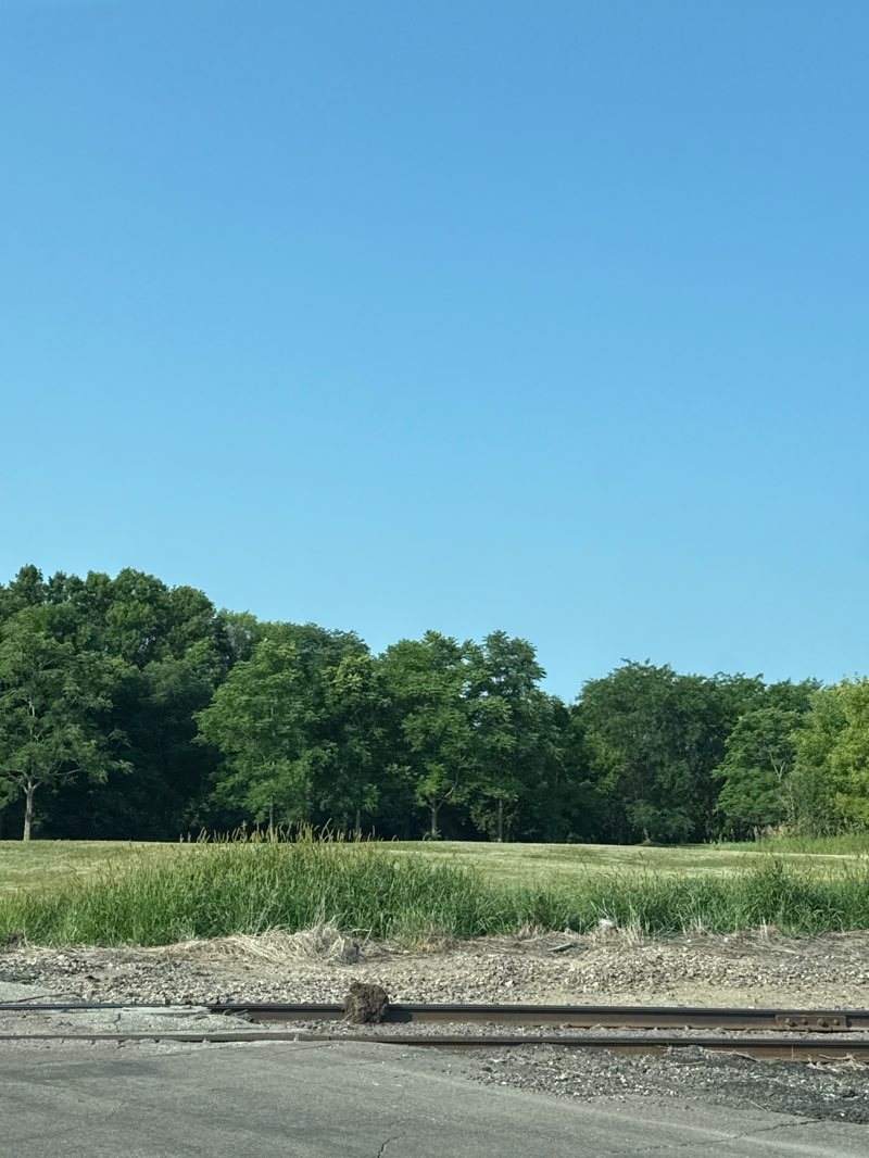 walking near me in Kennedy Park Nature Area in summer