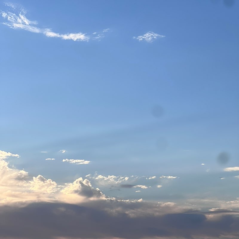 goddess _success PacerТоварищ post image