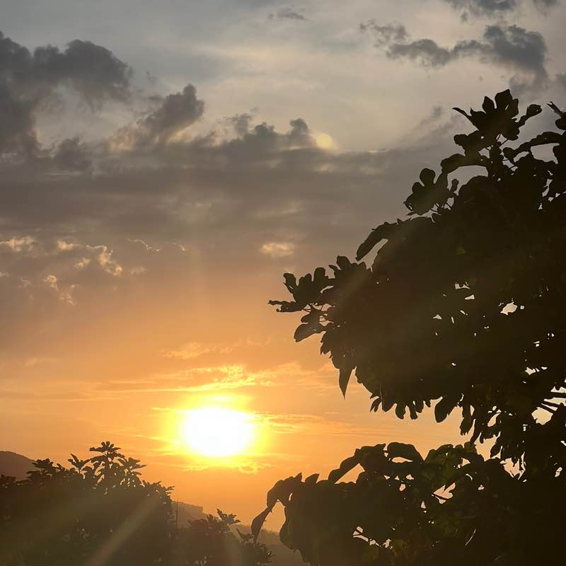 goddess _success PacerТоварищ post image