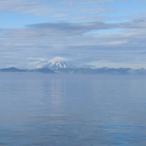 Виктория Вероника profile