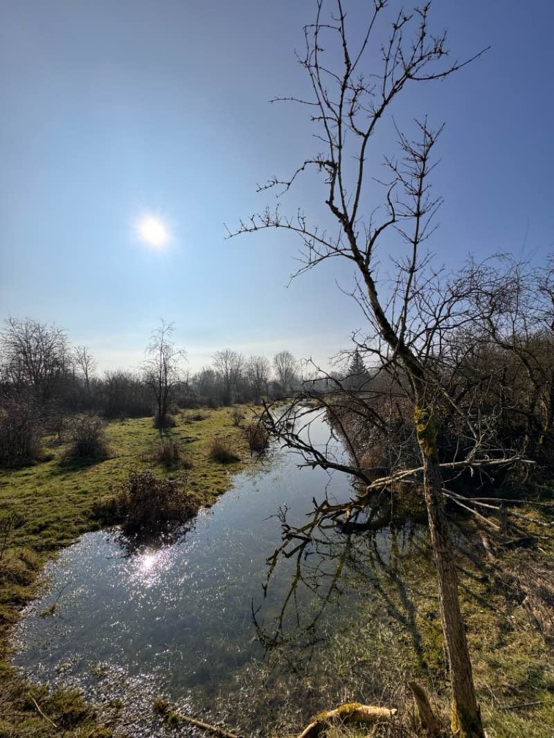 walking near me in Jardin Public in spring