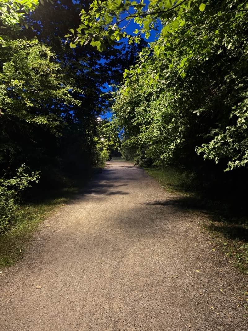walking near me in Nytorget in summer