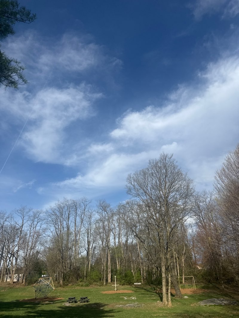 walking near me in Marty Snook County Park in spring