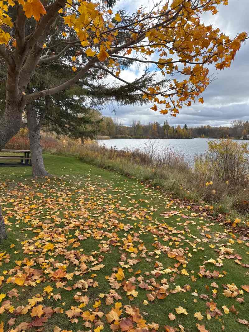 walking near me in Parc de la plage municipale in autumn