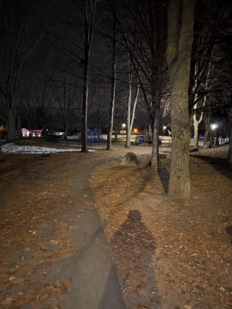 walking near me in Parc Vincent in winter