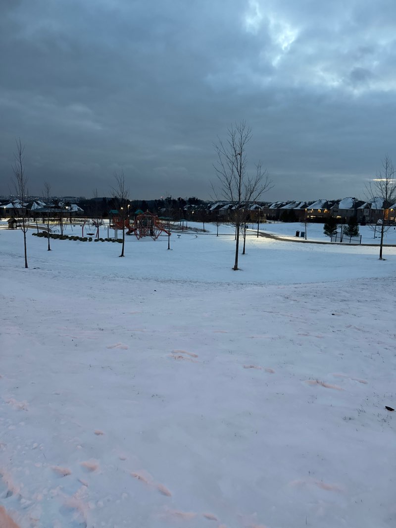 walking near me in Clearview Park in winter