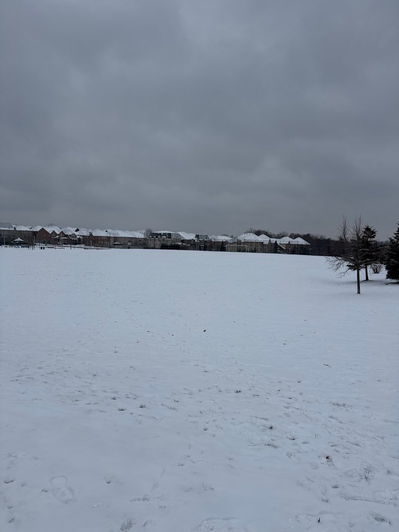 walking near me in Twelve Oaks Park in winter