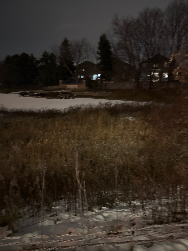 walking near me in Patterson Parkette in winter