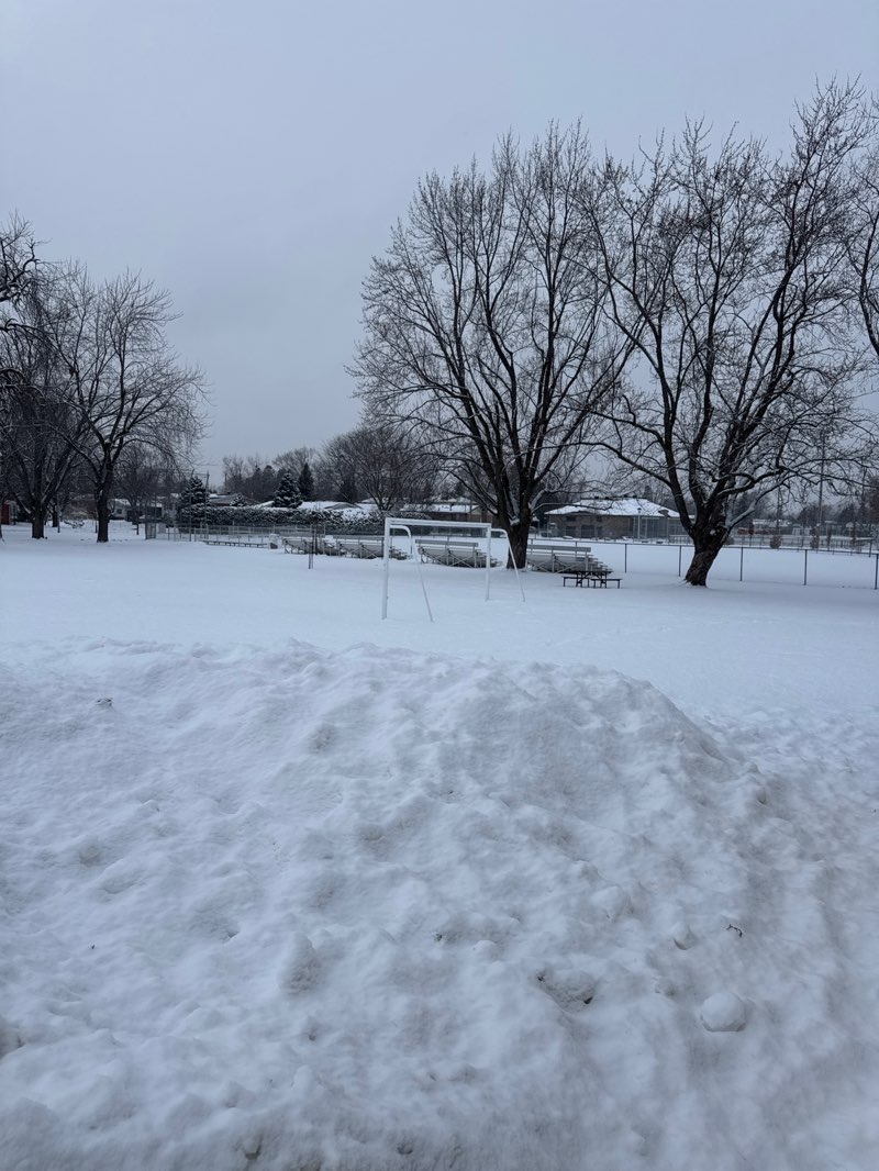 walking near me in Sunnybrooke Park in winter