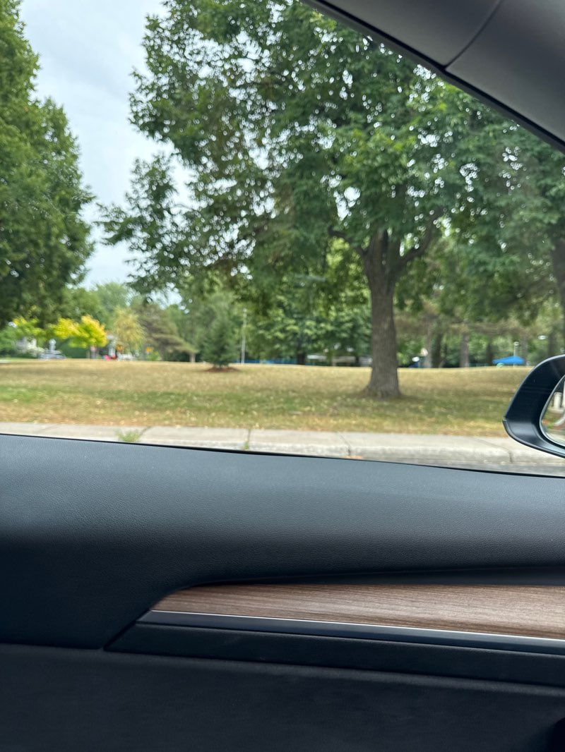 walking near me in Councillors Park in autumn