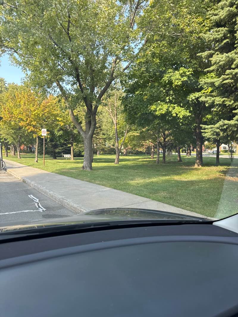walking near me in Parc Atholston in autumn