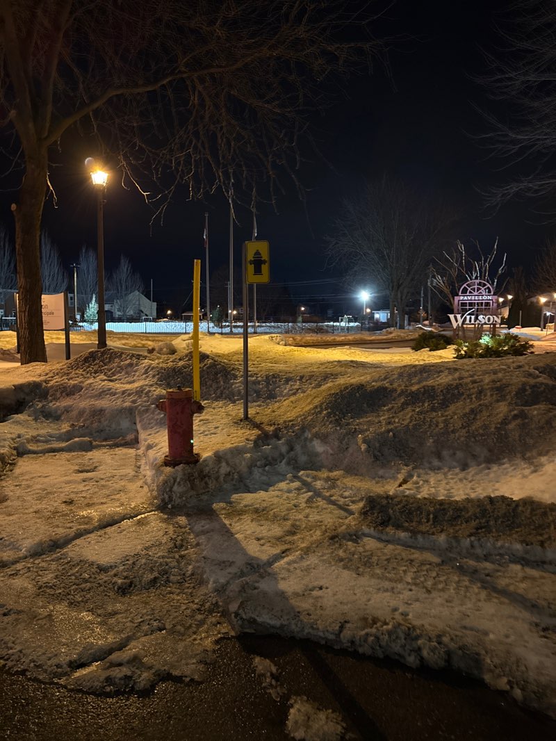 walking near me in Parc Wilson in winter