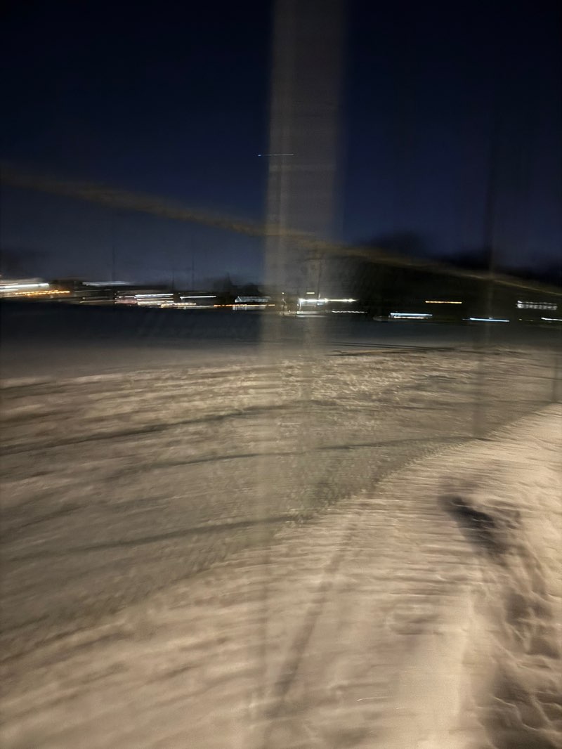 walking near me in Parc Chopin in winter